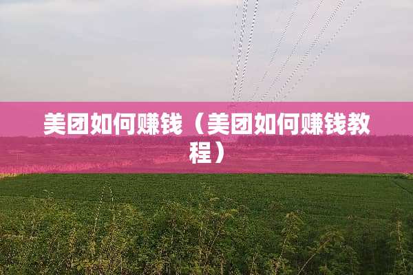 美团如何赚钱（美团如何赚钱教程）