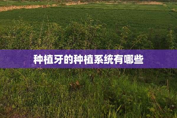 种植牙的种植系统有哪些
