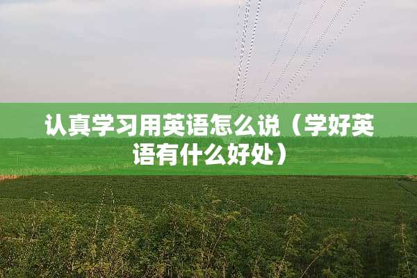 认真学习用英语怎么说（学好英语有什么好处）