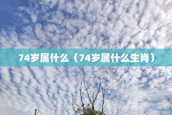 74岁属什么（74岁属什么生肖）