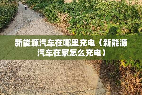 新能源汽车在哪里充电（新能源汽车在家怎么充电）