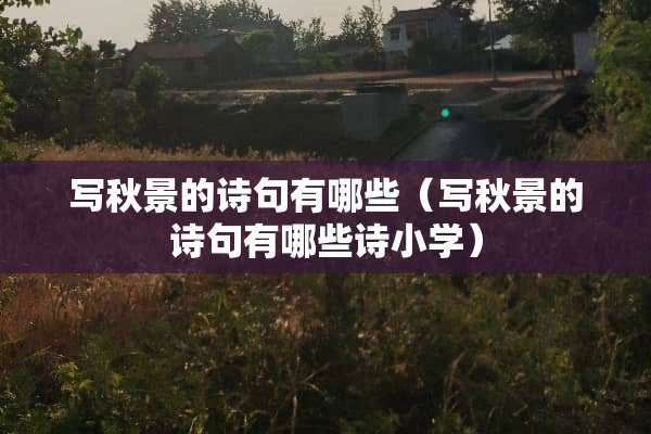写秋景的诗句有哪些（写秋景的诗句有哪些诗小学）