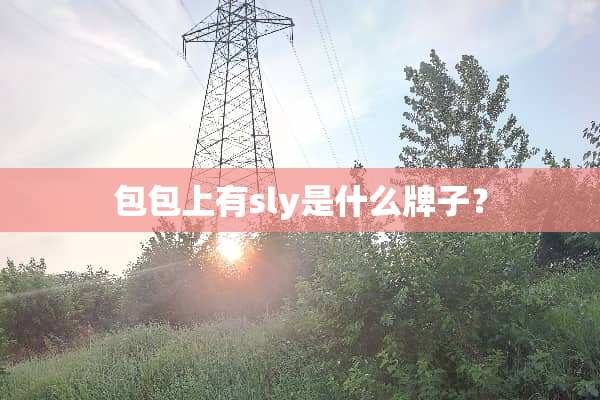 包包上有sly是什么牌子？