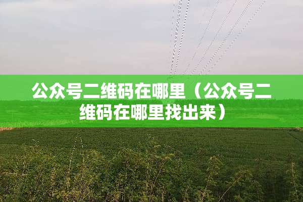 公众号二维码在哪里（公众号二维码在***出来）