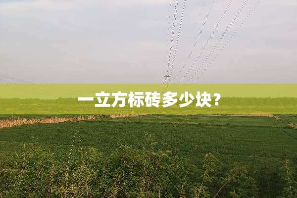 一立方标砖多少块？