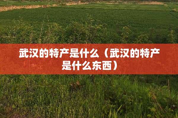 武汉的特产是什么（武汉的特产是什么东西）