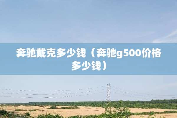 奔驰戴克多少钱（奔驰g500价格多少钱）