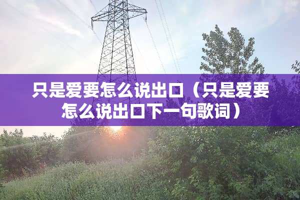 只是爱要怎么说出口（只是爱要怎么说出口下一句歌词）