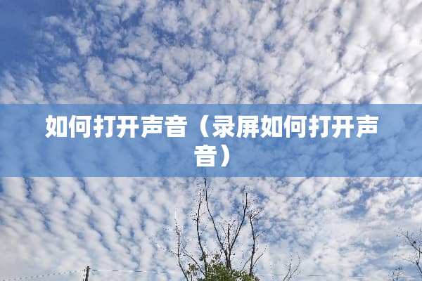 如何打开声音（录屏如何打开声音）