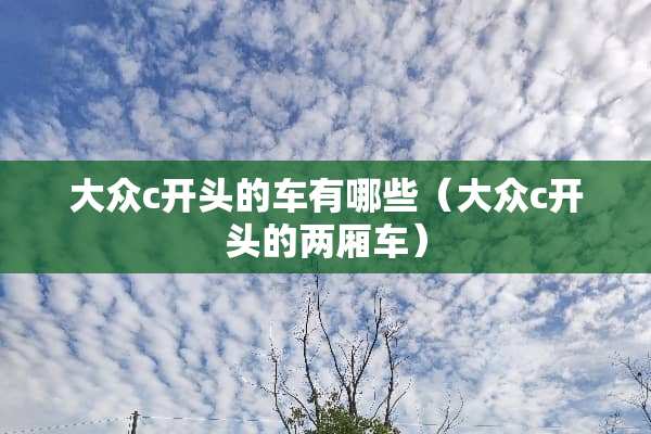 大众c开头的车有哪些（大众c开头的两厢车）