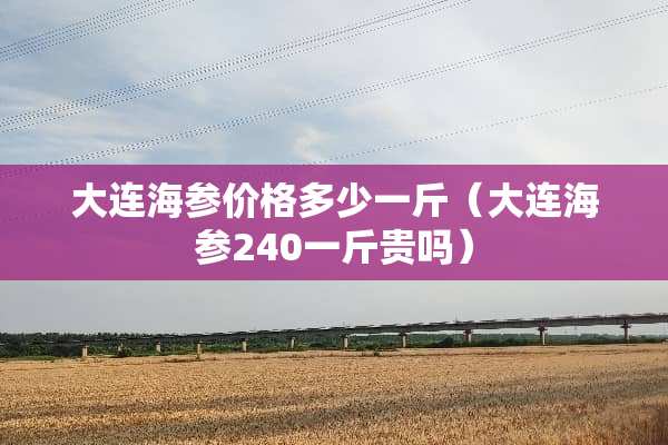 大连海参价格多少一斤（大连海参240一斤贵吗）