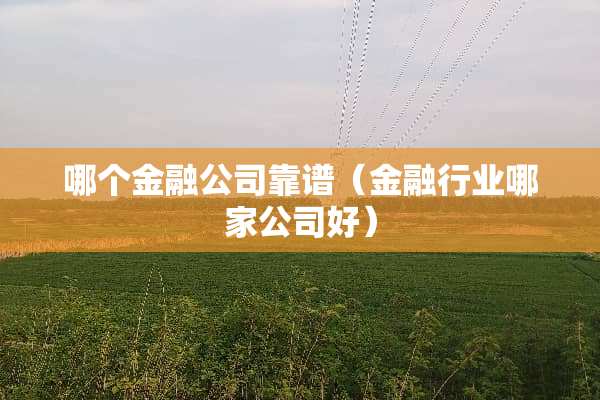 哪个金融公司靠谱（金融行业哪家公司好）