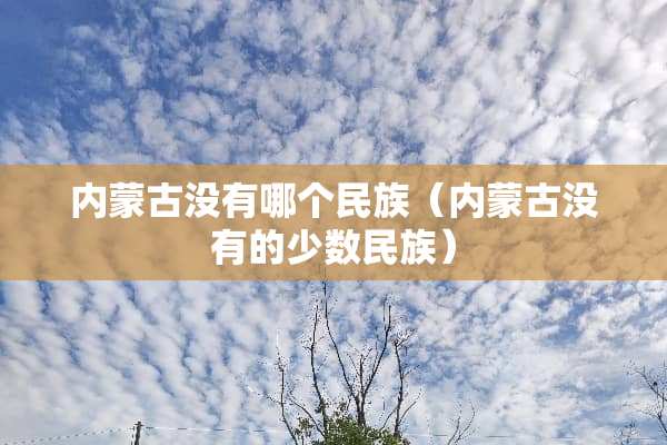 内蒙古没有哪个民族（内蒙古没有的少数民族）