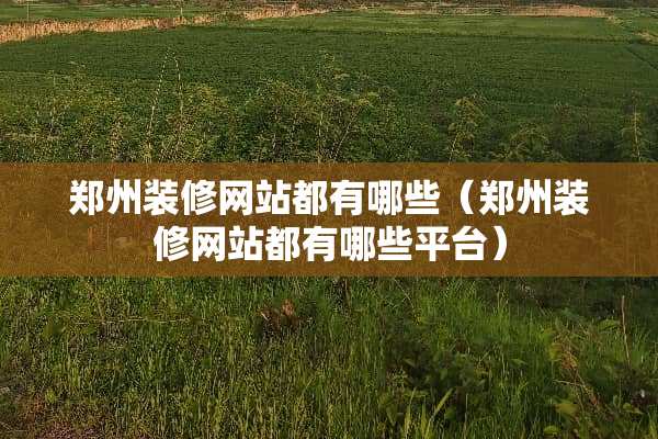 郑州装修网站都有哪些（郑州装修网站都有哪些平台）