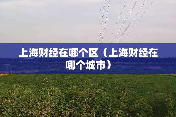 上海财经在哪个区（上海财经在哪个城市）
