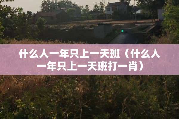 什么人一年只上一天班（什么人一年只上一天班打**）