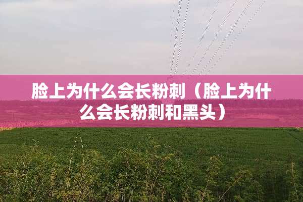 脸上为什么会长**（脸上为什么会长**和黑头）