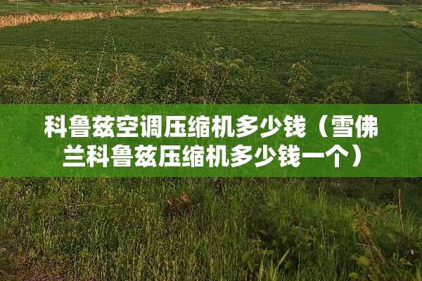 科鲁兹空调压缩机多少钱（雪佛兰科鲁兹压缩机多少钱一个）