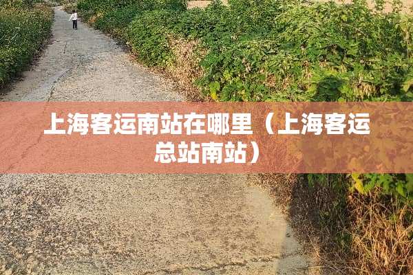 上海客运南站在哪里（上海客运总站南站）