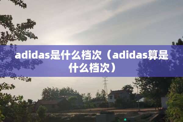 adidas是什么档次（adidas算是什么档次）