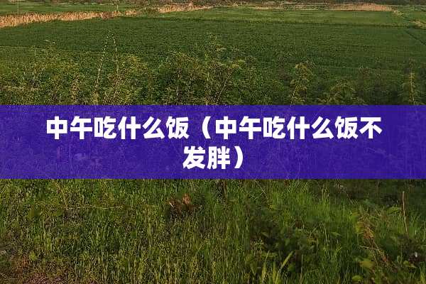 中午吃什么饭（中午吃什么饭不发胖）