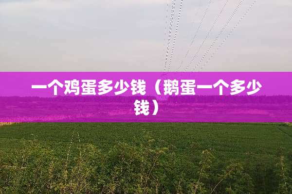 一个鸡蛋多少钱（鹅蛋一个多少钱）