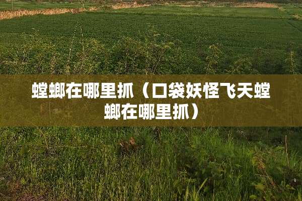 螳螂在哪里抓（口袋妖怪飞天螳螂在哪里抓）