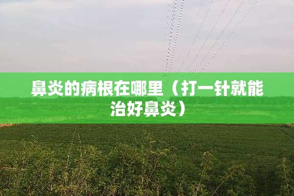 鼻炎的病根在哪里（打一针就能治好鼻炎）