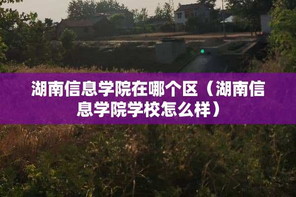 湖南信息学院在哪个区（湖南信息学院学校怎么样）