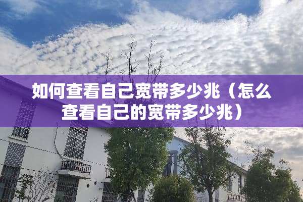 如何查看自己宽带多少兆（怎么查看自己的宽带多少兆）