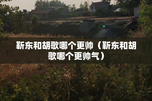 靳东和胡歌哪个更帅（靳东和胡歌哪个更帅气）