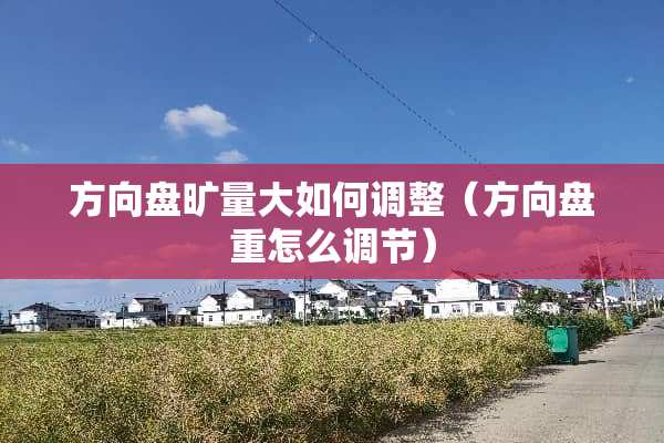 方向盘旷量大如何调整（方向盘重怎么调节）