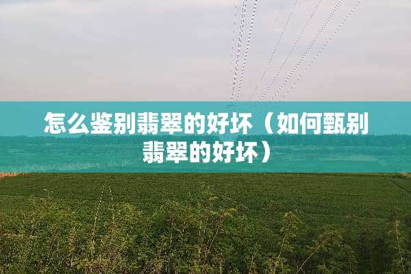 怎么鉴别翡翠的好坏（如何甄别翡翠的好坏）