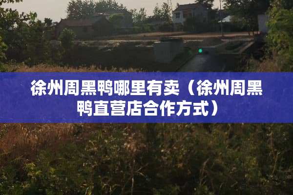 徐州周黑鸭哪里有卖（徐州周黑鸭直营店合作方式）