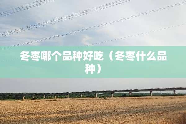 冬枣哪个品种好吃（冬枣什么品种）
