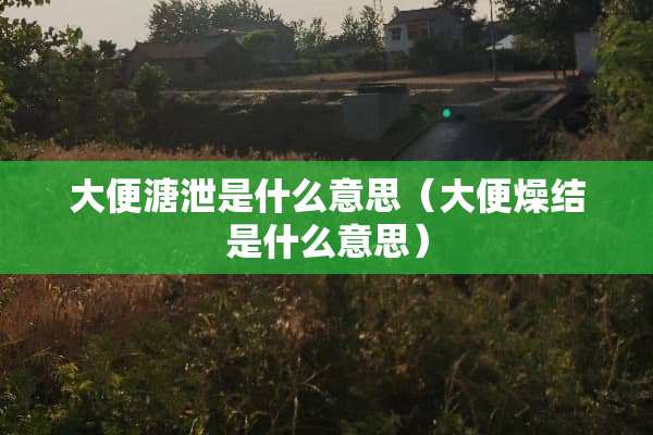 大便溏泄是什么意思（大便燥结是什么意思）