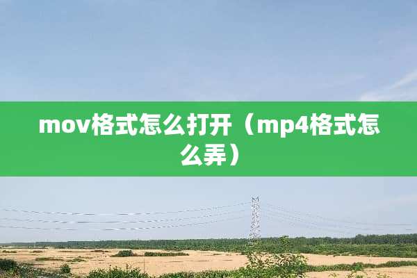 mov格式怎么打开（mp4格式怎么弄）