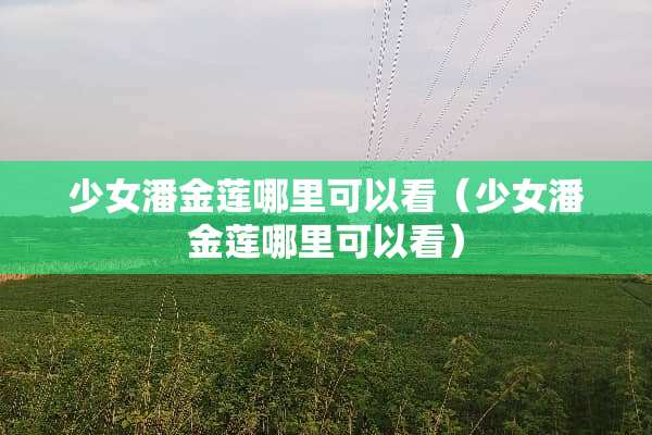 少女潘金莲哪里可以看（少女潘金莲哪里可以看）