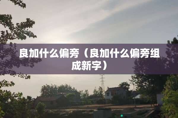 良加什么偏旁（良加什么偏旁组成新字）
