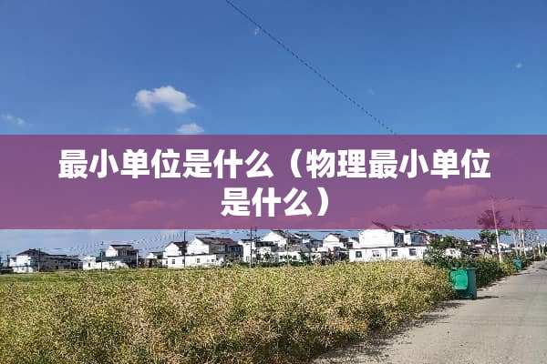 最小单位是什么（物理最小单位是什么）