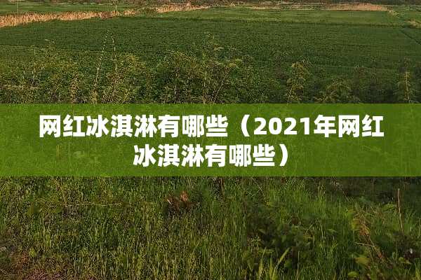 网红冰淇淋有哪些（2021年网红冰淇淋有哪些）