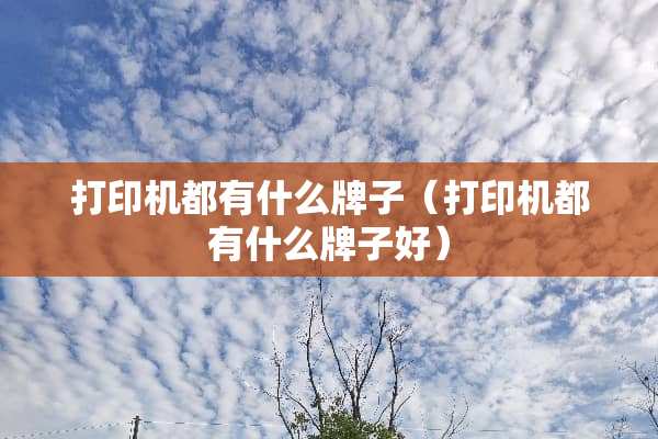 打印机都有什么牌子（打印机都有什么牌子好）