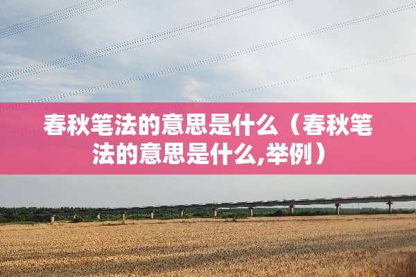 春秋笔法的意思是什么（春秋笔法的意思是什么,举例）