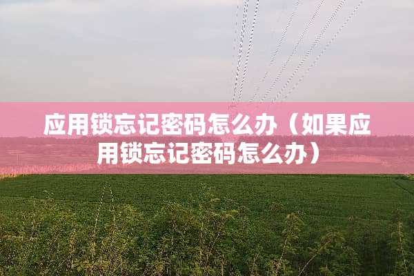 应用锁忘记密码怎么办（如果应用锁忘记密码怎么办）