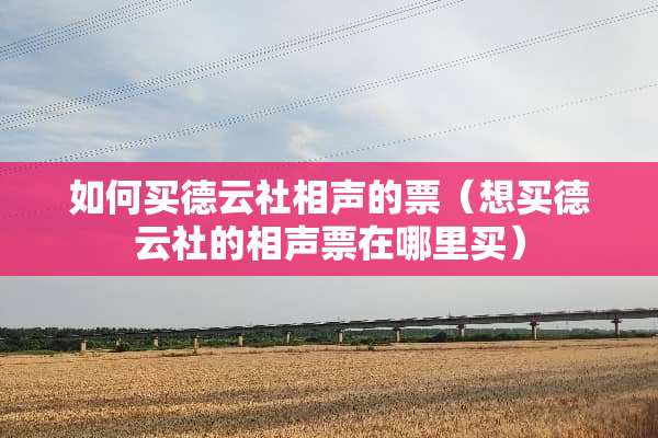 如何买德云社相声的票（想买德云社的相声票在哪里买）