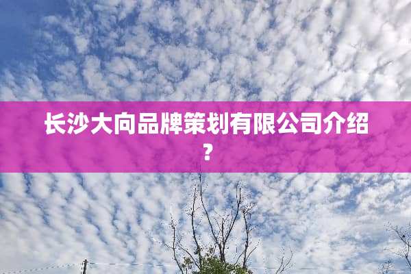 长沙大向品牌策划有限公司介绍？