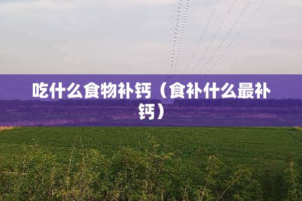 吃什么食物补钙（食补什么最补钙）