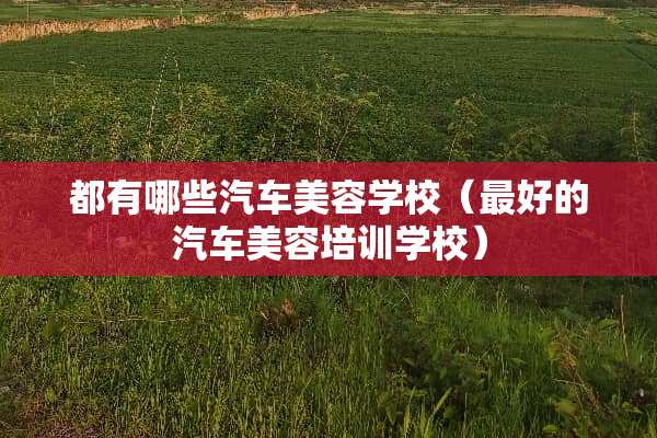 都有哪些汽车美容学校（最好的汽车美容培训学校）