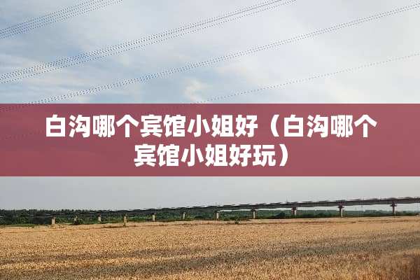 白沟哪个宾馆小姐好（白沟哪个宾馆小姐好玩）