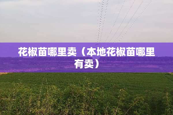 花椒苗哪里卖（本地花椒苗哪里有卖）